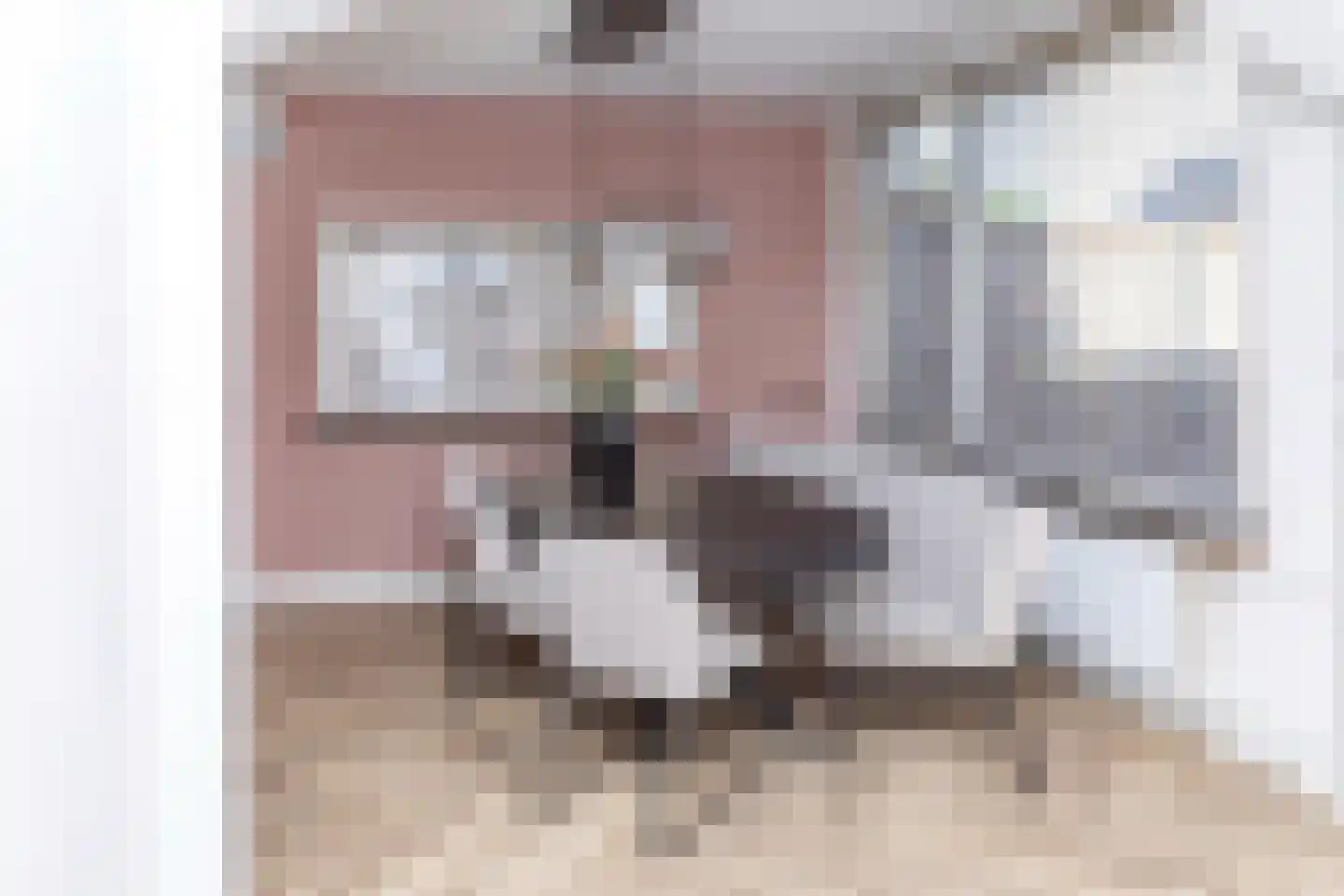 Anna van Burenstraat 9 Buren thumbnail 10