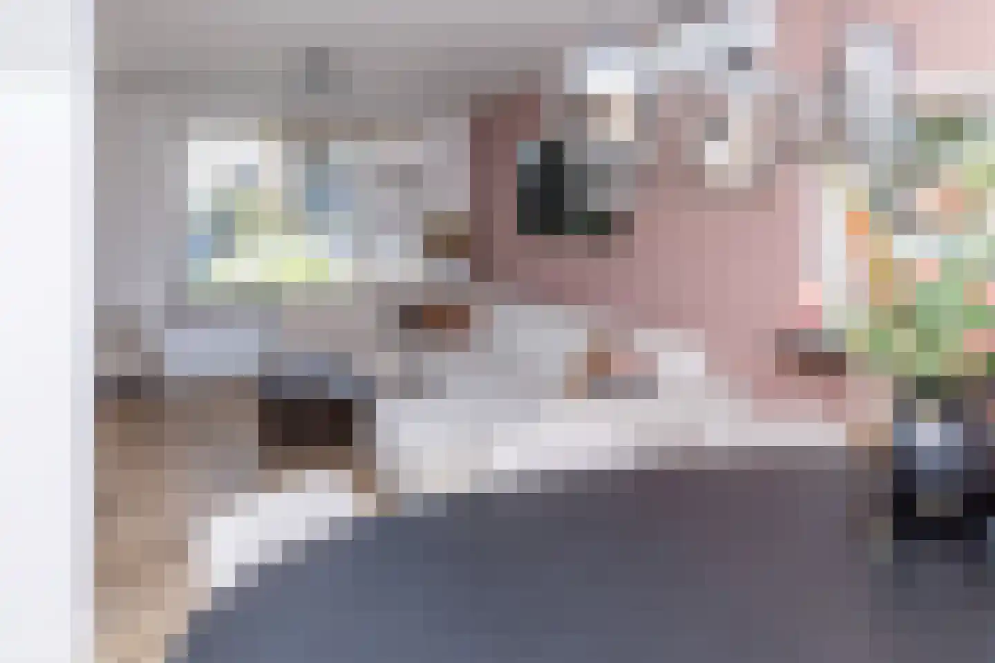 Anna van Burenstraat 9 Buren thumbnail 11