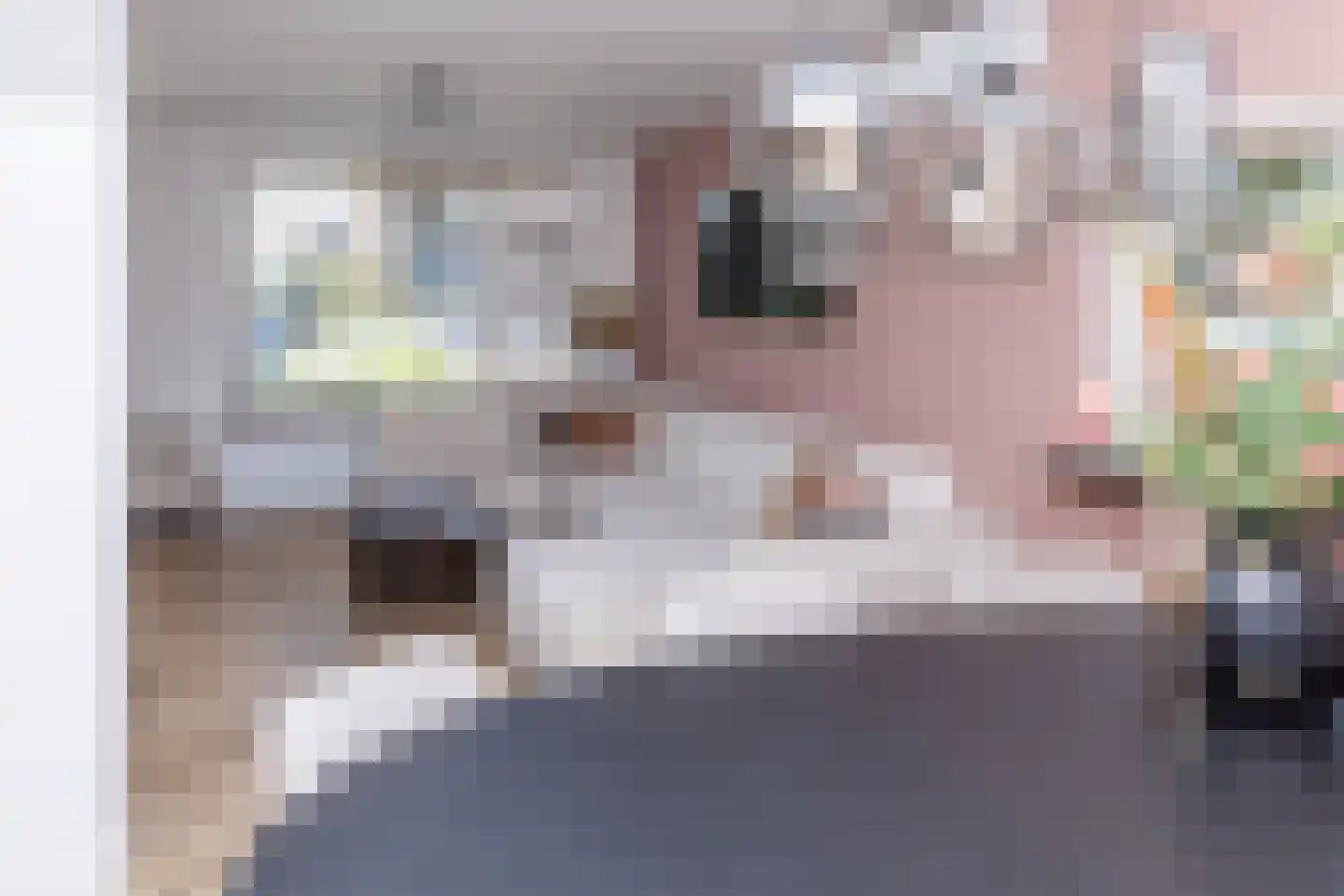 Anna van Burenstraat 9 Buren thumbnail 11