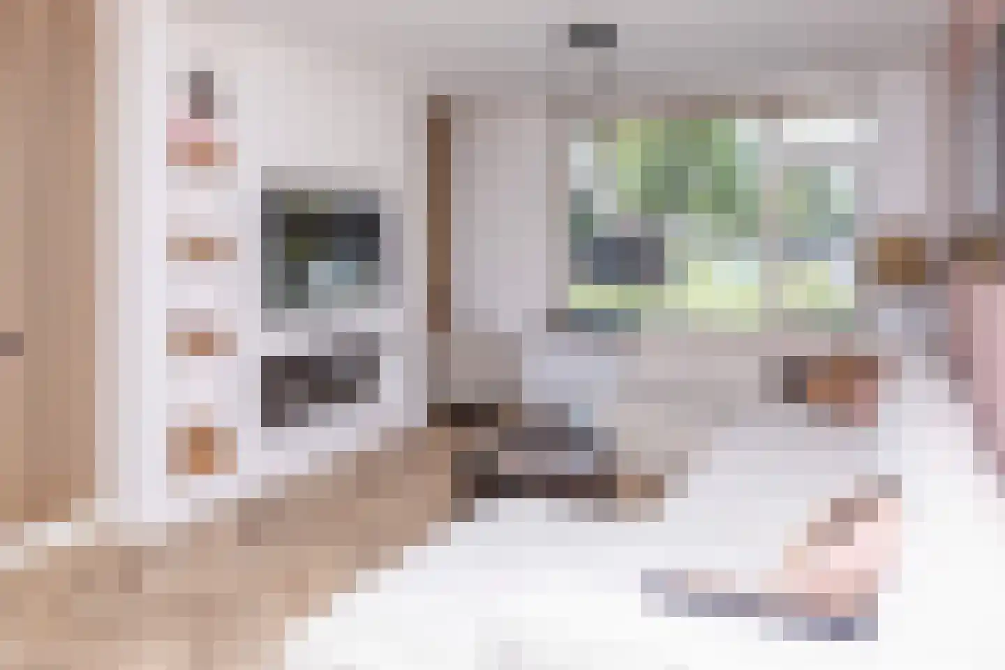 Anna van Burenstraat 9 Buren thumbnail 12