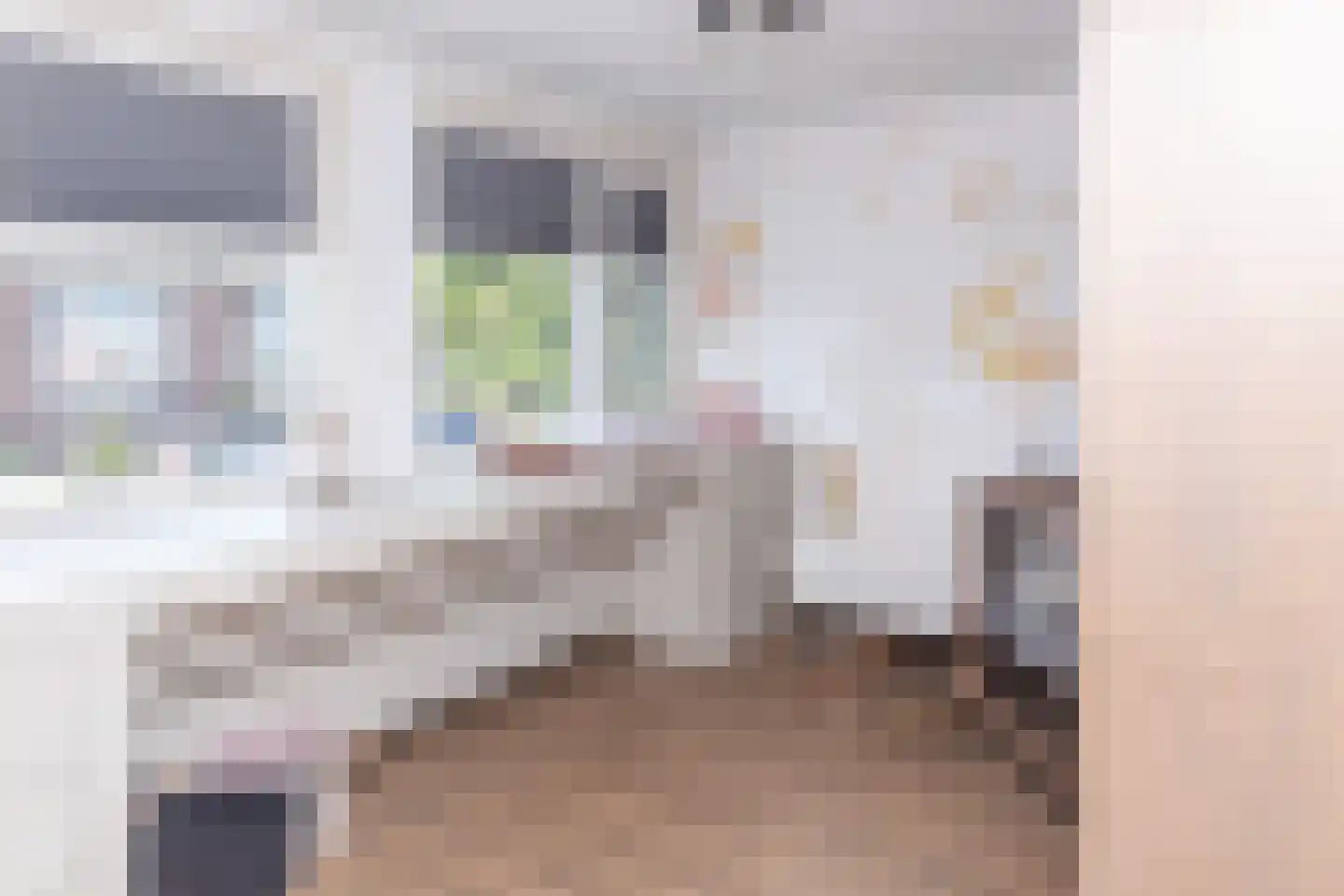 Anna van Burenstraat 9 Buren thumbnail 27
