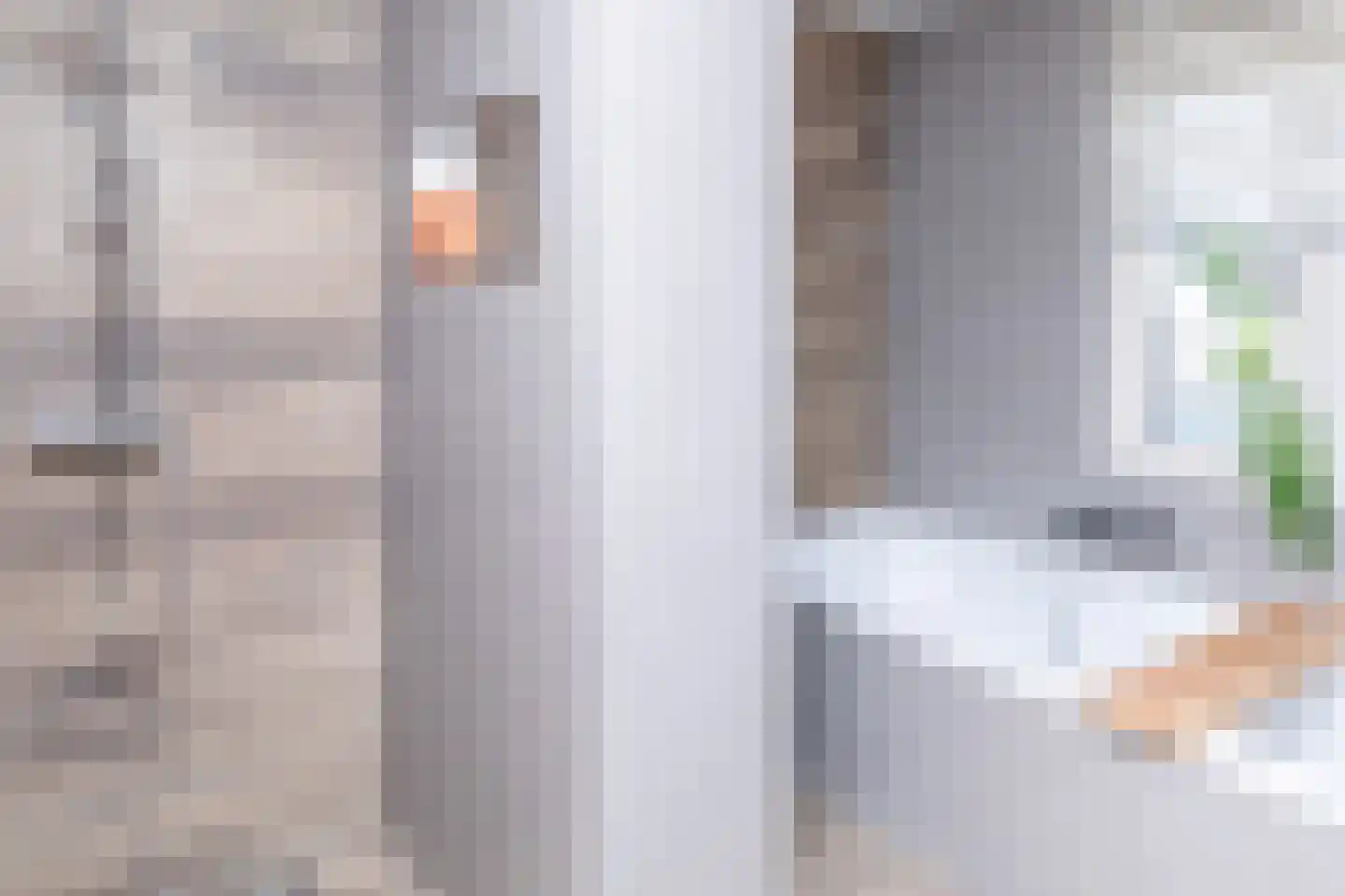 Anna van Burenstraat 9 Buren thumbnail 30