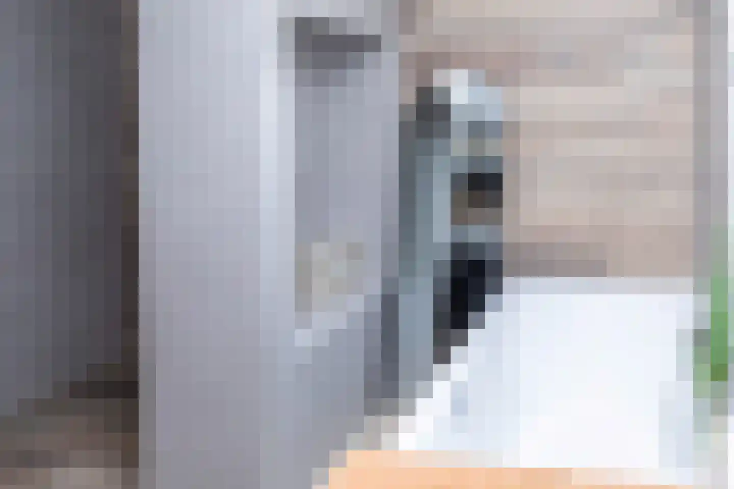 Anna van Burenstraat 9 Buren thumbnail 33