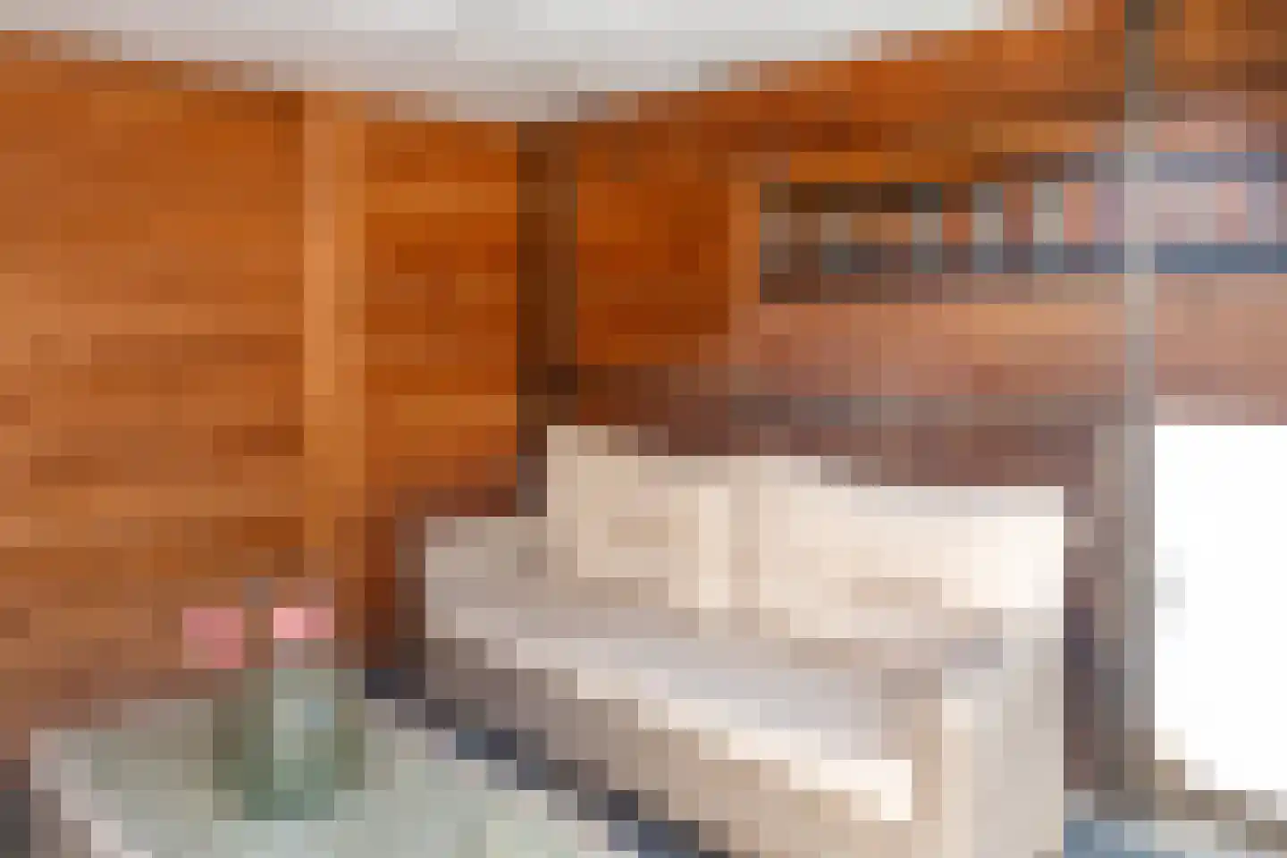 Anna van Burenstraat 9 Buren thumbnail 49