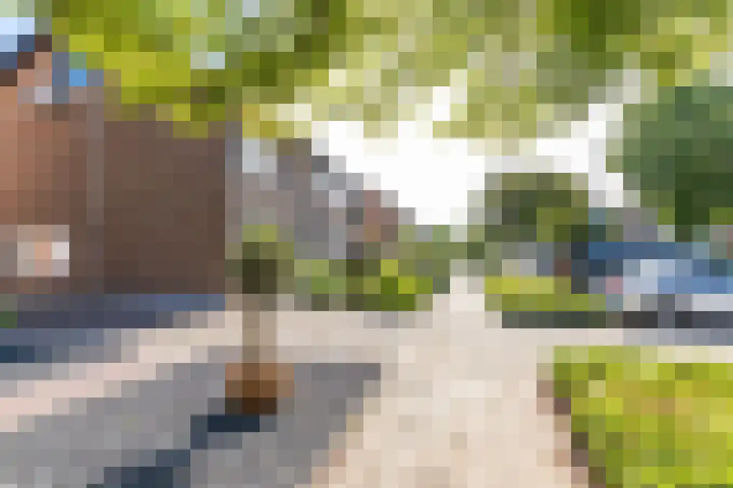 Anna van Burenstraat 9 Buren thumbnail 5