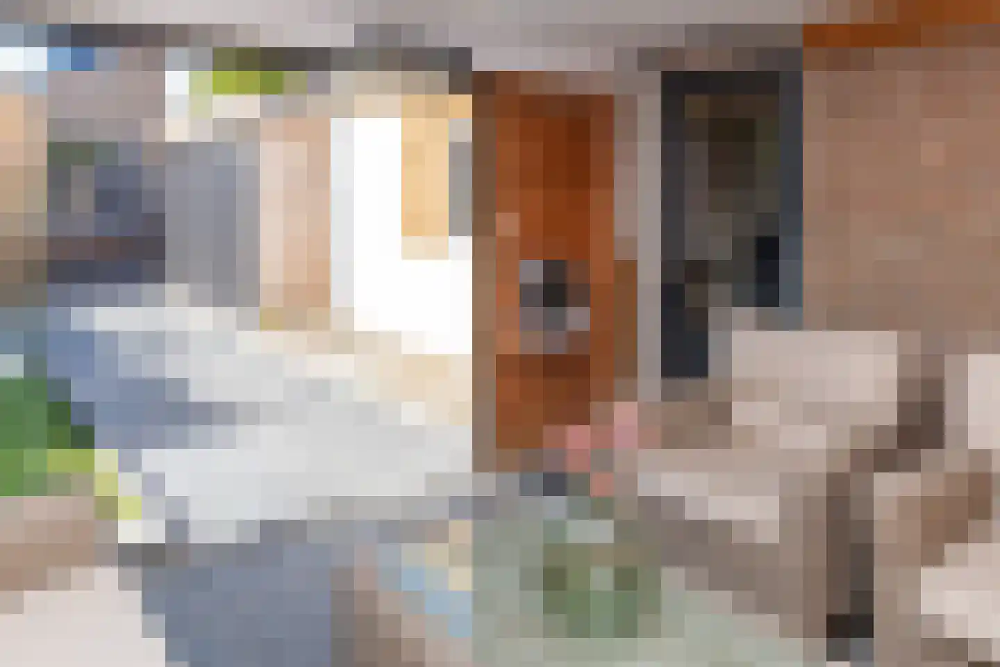 Anna van Burenstraat 9 Buren thumbnail 50