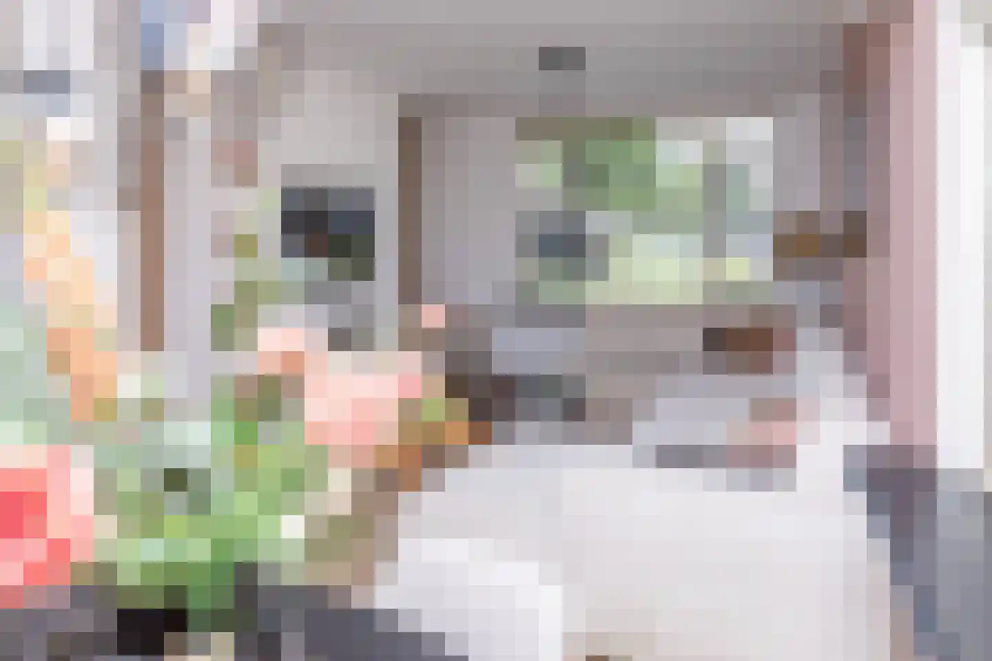 Anna van Burenstraat 9 Buren thumbnail 58