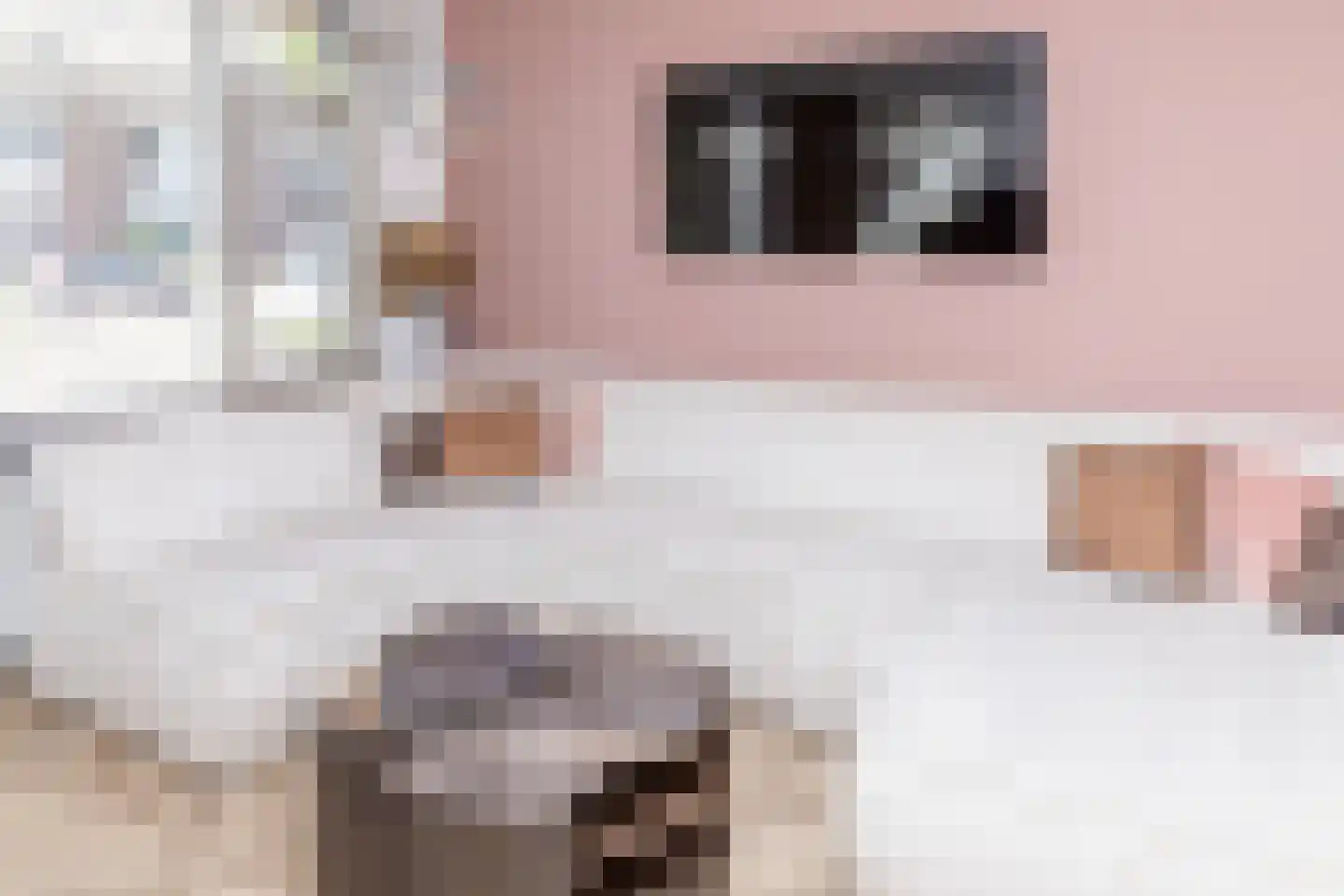 Anna van Burenstraat 9 Buren thumbnail 59