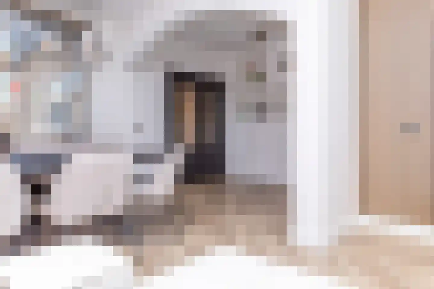 Anna van Burenstraat 9 Buren thumbnail 61