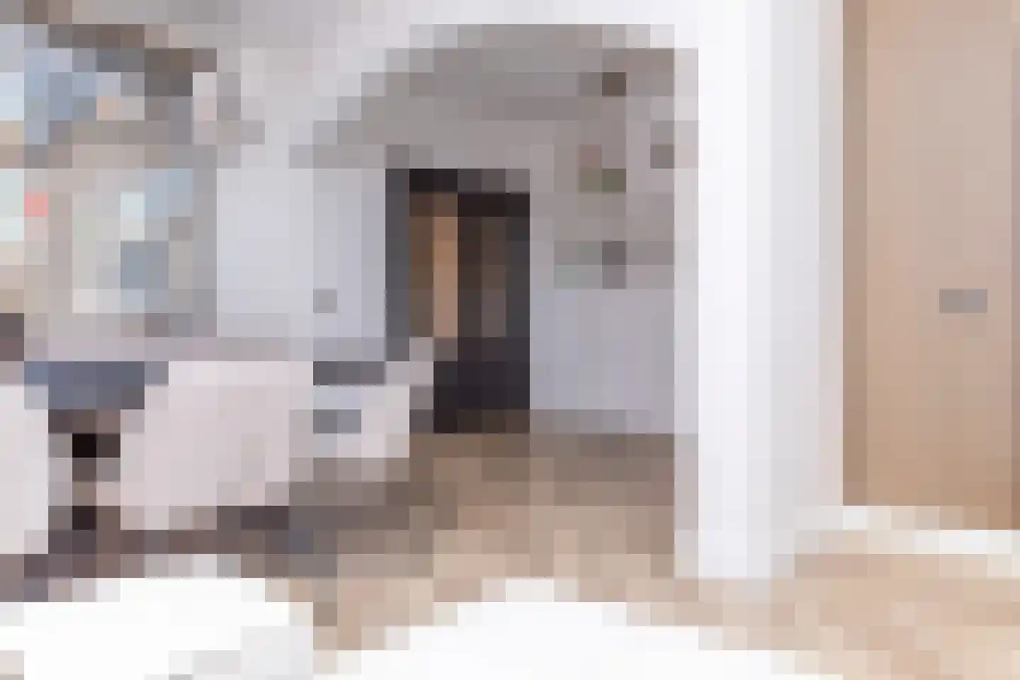 Anna van Burenstraat 9 Buren thumbnail 61