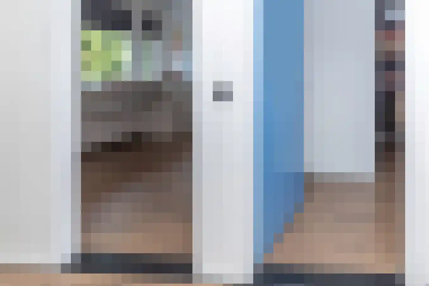 Anna van Burenstraat 9 Buren thumbnail 67
