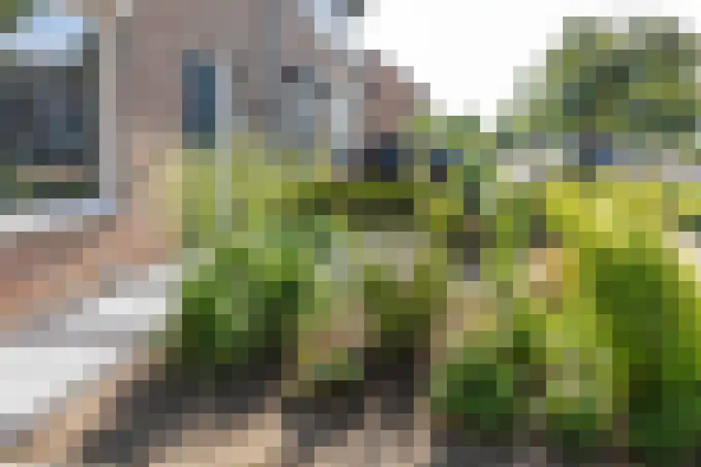 Anna van Burenstraat 9 Buren thumbnail 7