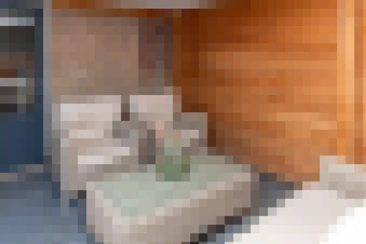Anna van Burenstraat 9 Buren thumbnail 79