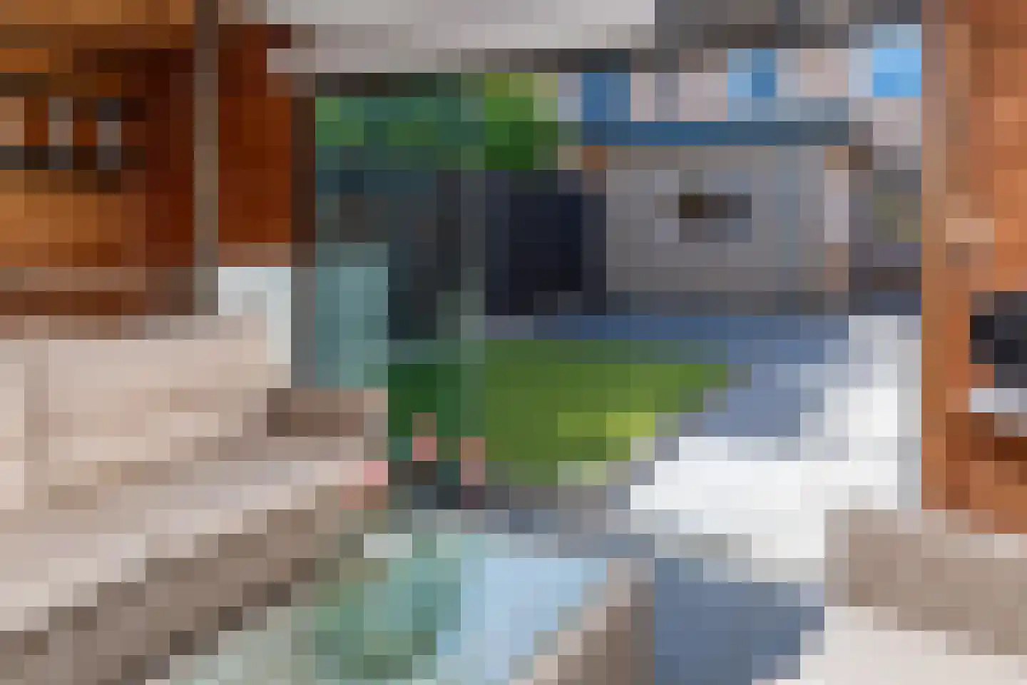 Anna van Burenstraat 9 Buren thumbnail 80