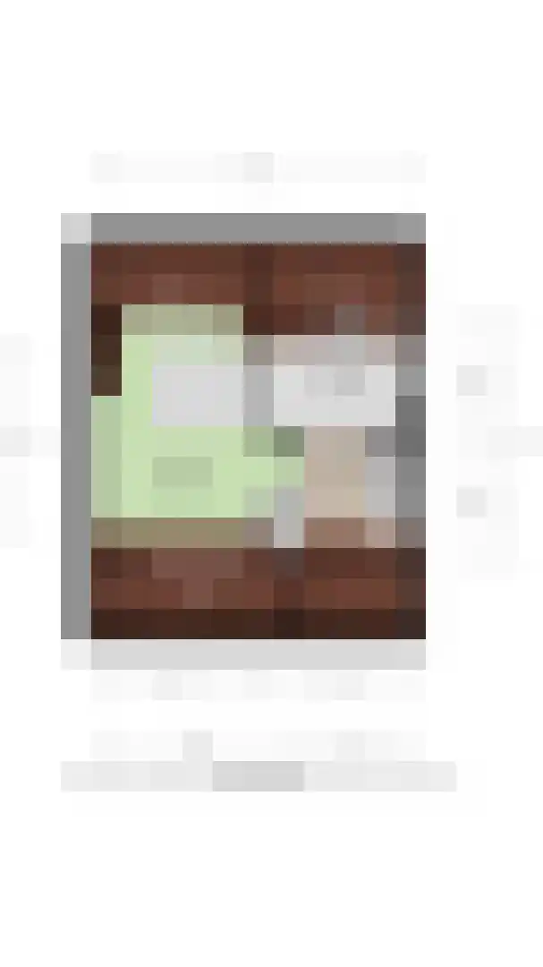 Anna van Burenstraat 9 Buren thumbnail 87
