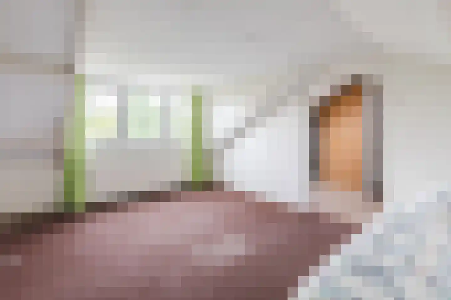 Anna van Burenweg 24 Grave thumbnail 19