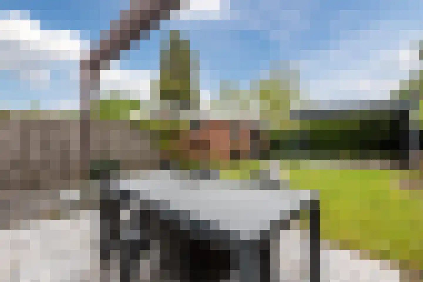 Anna van Burenweg 24 Grave thumbnail 21