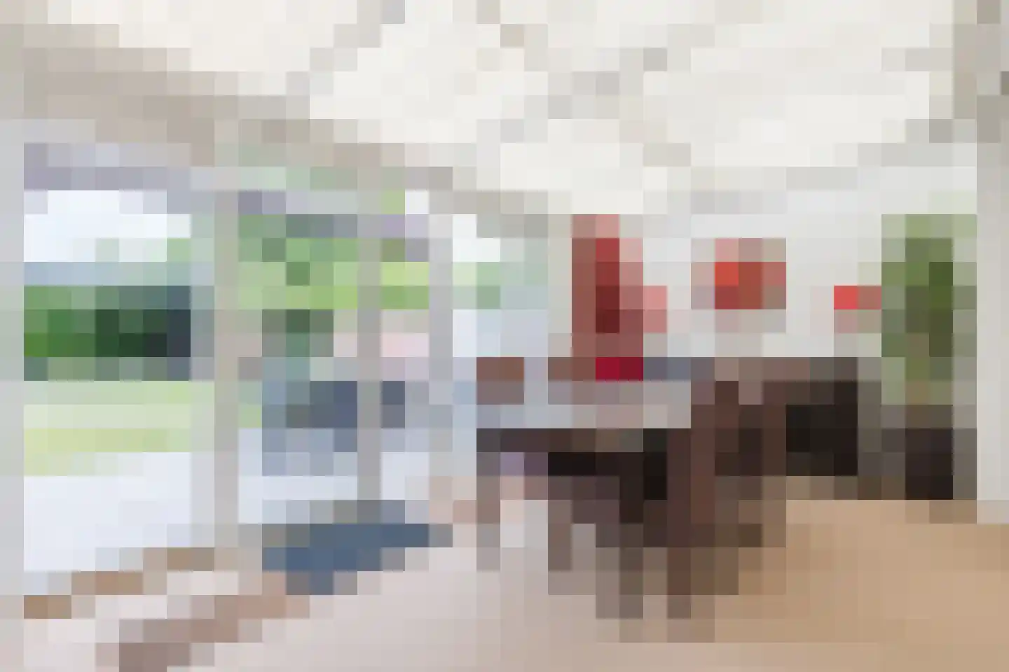 Anna van Burenweg 24 Grave thumbnail 8