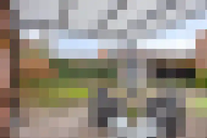 Anna van Burenweg 8 Grave thumbnail 4