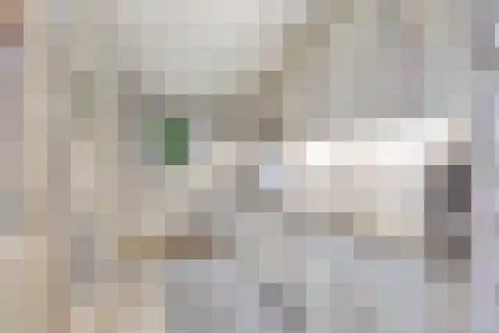 Anna van Burenweg 8 Grave thumbnail 5