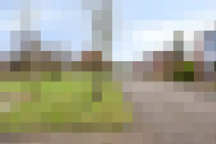 Anna van Burenweg 8 Grave thumbnail 54