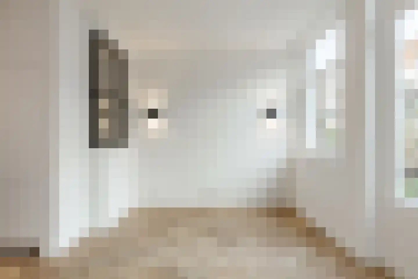 Anna van den Vondelstraat 11 Amsterdam thumbnail 13
