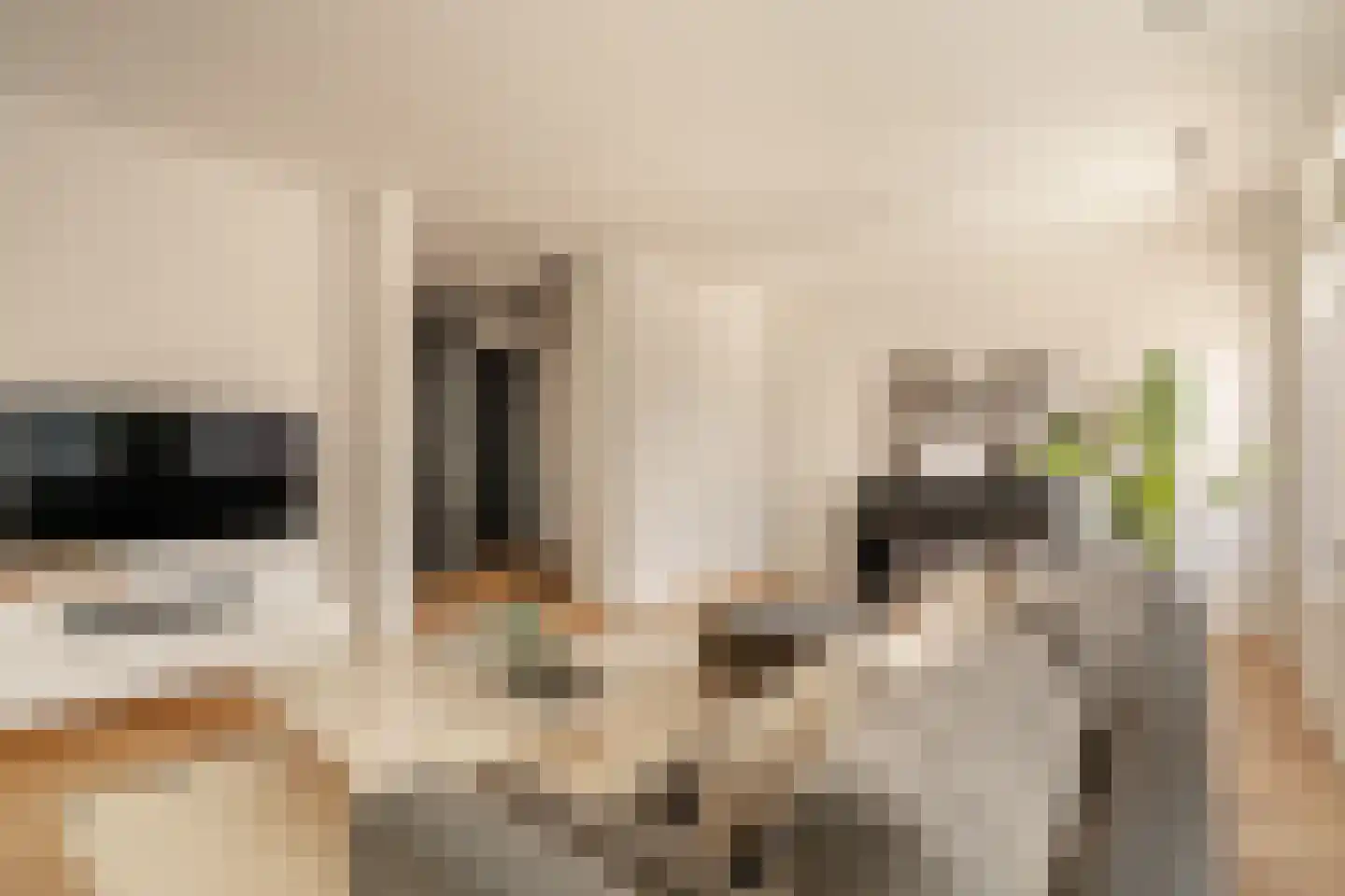 Anna van den Vondelstraat 13 D Amsterdam thumbnail 16