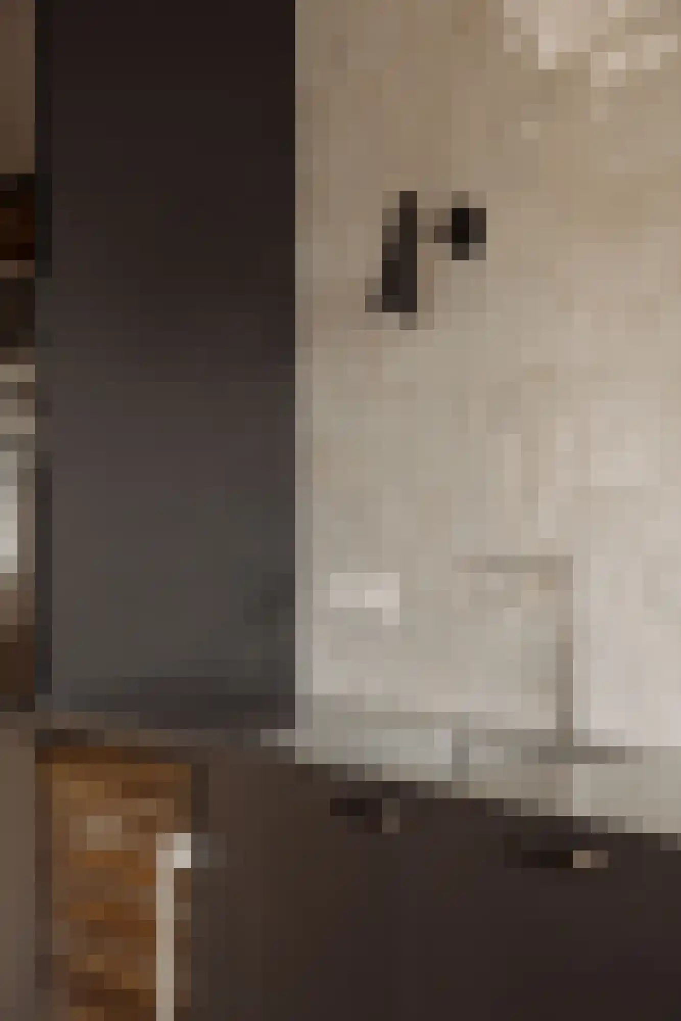 Anna van den Vondelstraat 5 1 Amsterdam thumbnail 13