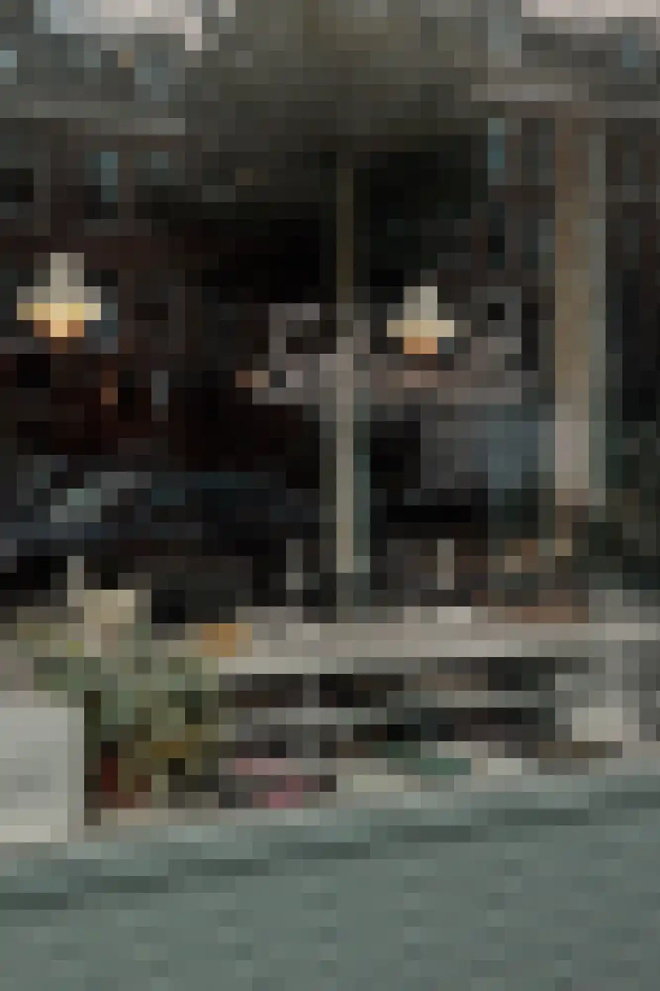 Anna van den Vondelstraat 5 1 Amsterdam thumbnail 31