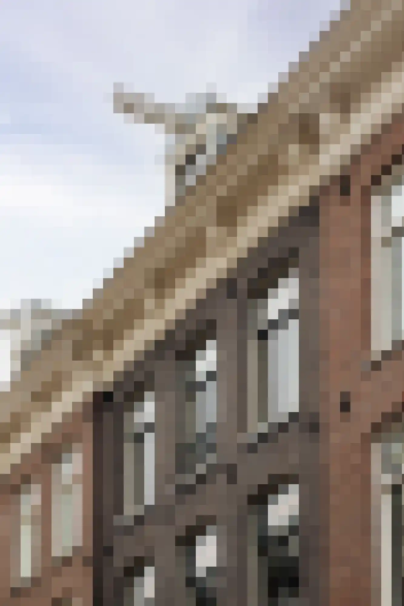 Anna van den Vondelstraat 5 1 Amsterdam thumbnail 7