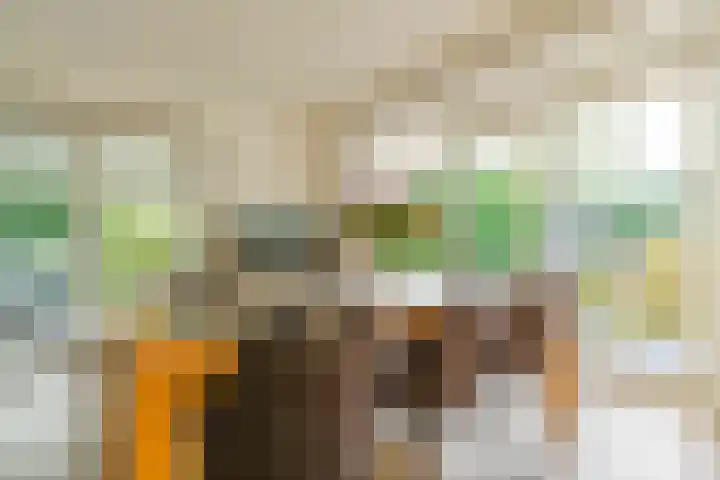 Anna van Egmondlaan 1 Zierikzee thumbnail 12