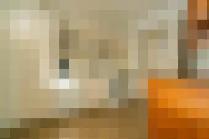 Anna van Egmondlaan 1 Zierikzee thumbnail 16