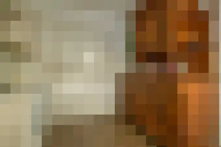 Anna van Egmondlaan 1 Zierikzee thumbnail 17