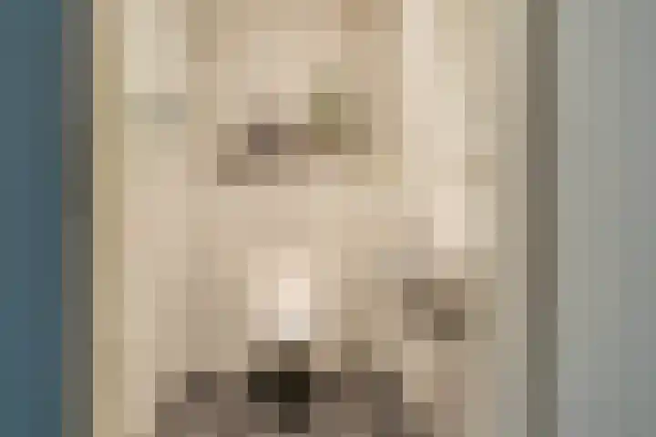 Anna van Egmondlaan 1 Zierikzee thumbnail 20
