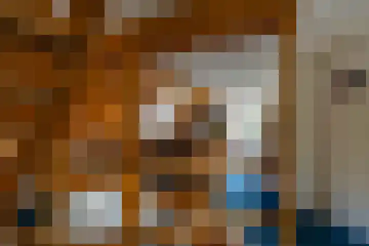 Anna van Egmondlaan 1 Zierikzee thumbnail 22