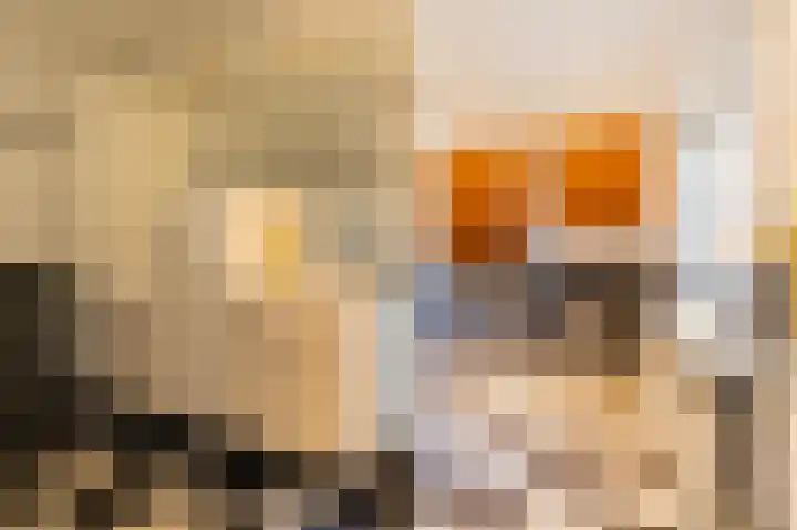 Anna van Egmondlaan 1 Zierikzee thumbnail 27