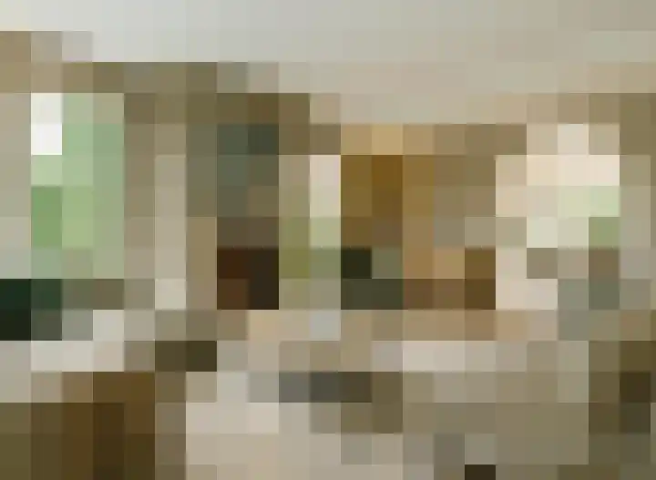 Anna van Egmondlaan 1 Zierikzee thumbnail 6