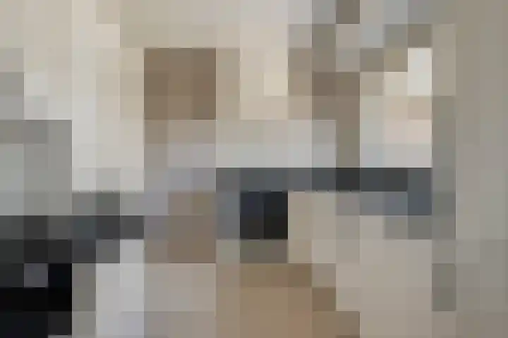 Anna van Egmondlaan 4 Zierikzee thumbnail 14