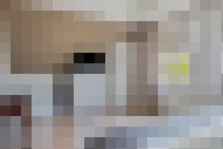 Anna van Egmondlaan 4 Zierikzee thumbnail 23