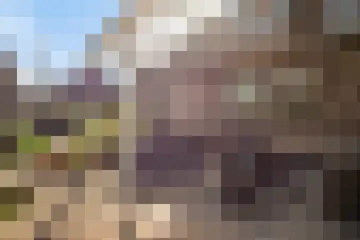 Anna van Egmondlaan 4 Zierikzee thumbnail 29