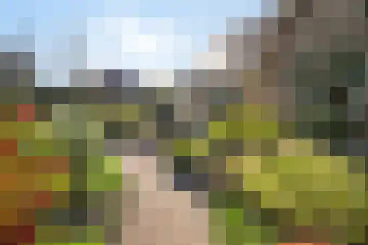 Anna van Egmondlaan 4 Zierikzee thumbnail 32