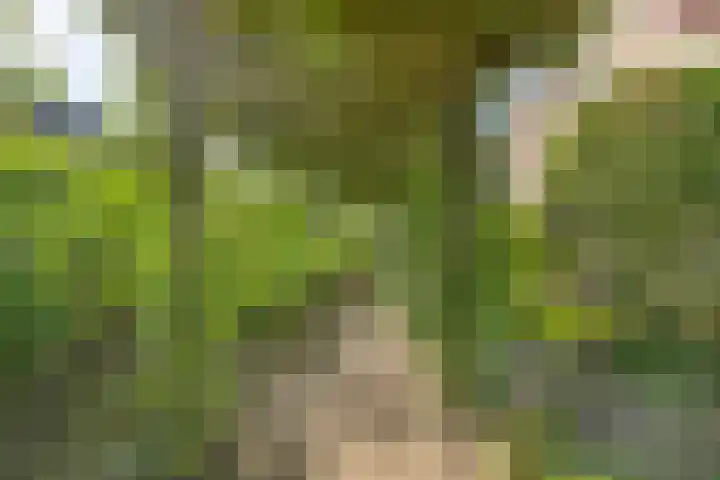 Anna van Egmondlaan 4 Zierikzee thumbnail 34