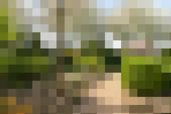 Anna van Egmondlaan 4 Zierikzee thumbnail 35
