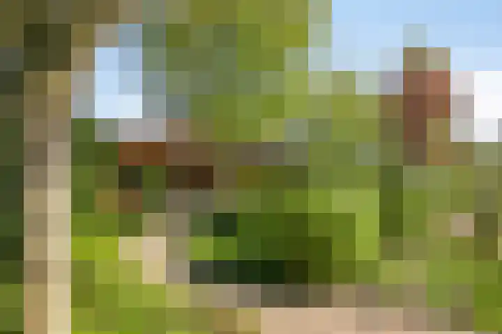 Anna van Egmondlaan 4 Zierikzee thumbnail 37