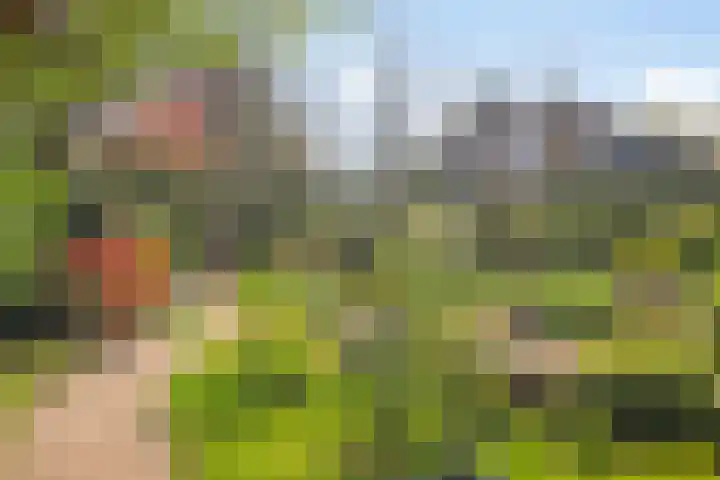Anna van Egmondlaan 4 Zierikzee thumbnail 38