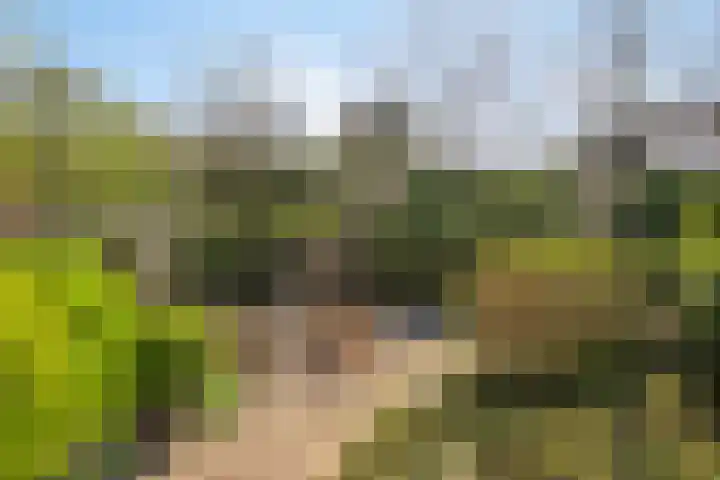 Anna van Egmondlaan 4 Zierikzee thumbnail 41
