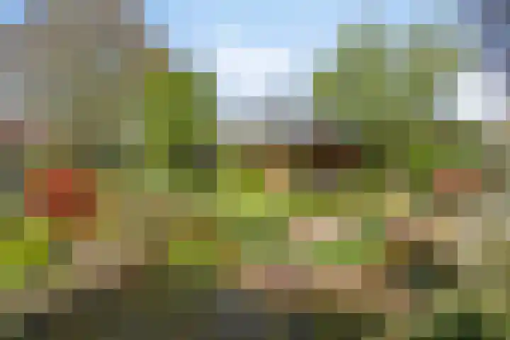 Anna van Egmondlaan 4 Zierikzee thumbnail 42