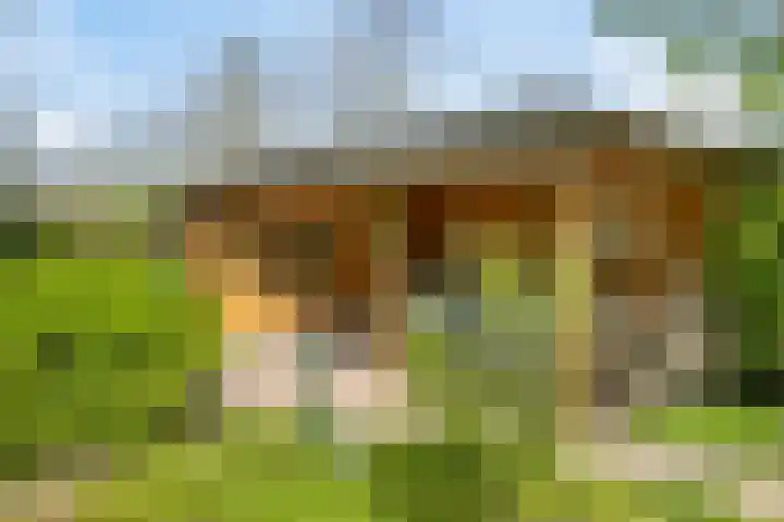 Anna van Egmondlaan 4 Zierikzee thumbnail 43