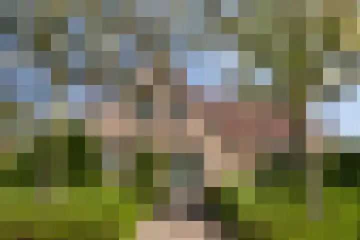 Anna van Egmondlaan 4 Zierikzee thumbnail 45