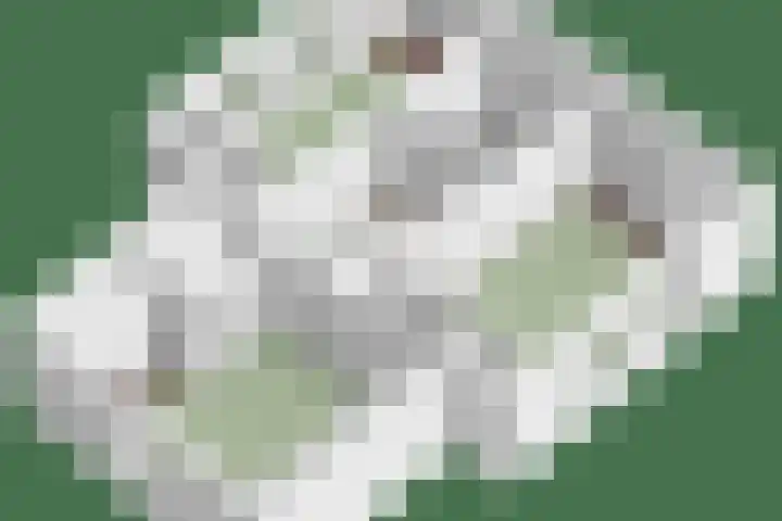 Anna van Egmondlaan 4 Zierikzee thumbnail 51